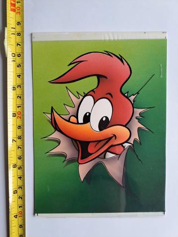 12 orginele Woody Woodpecker animation cells / tekeningen 