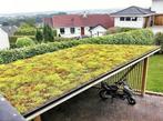 TE KOOP:Sedum cassetes voor daken,  Plaatsen van sedumdaken., Tuinonderhoud of Snoeiwerk