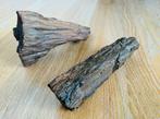 Fossiel hout, versteend hout (21,5 cm, kwarts), Overige typen, Ophalen of Verzenden