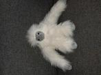 Nieuwe schattige knuffel aap, Ophalen of Verzenden, Zo goed als nieuw, Overige typen