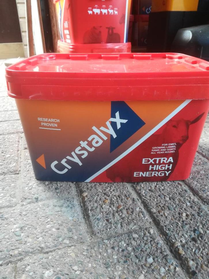 crystalyx likemmer schaap, Dieren en Toebehoren, Schapen, Geiten en Varkens, Schaap, Geslacht onbekend