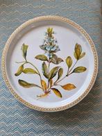 Mooi botanisch blik trommel, Verzamelen, Blikken, Ophalen of Verzenden, Gebruikt, Koek(jes)