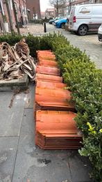 Dakpannen hollandse, Doe-het-zelf en Verbouw, Dakpannen en Dakbedekking, Ophalen, Steen of Klei, Zo goed als nieuw, 15 m² of meer