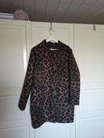 Leuke jas van Shoeby maat XL, Ophalen of Verzenden, Zo goed als nieuw, Maat 46/48 (XL) of groter