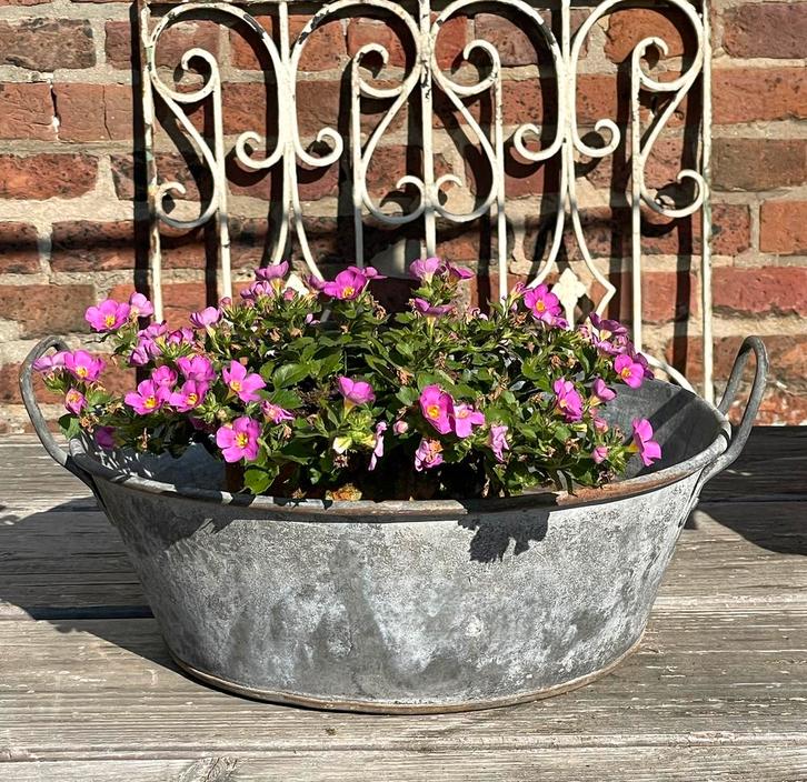 Brocante oud klein zinken teiltje 32 cm doorsnede, Antiek en Kunst, Curiosa en Brocante, Verzenden