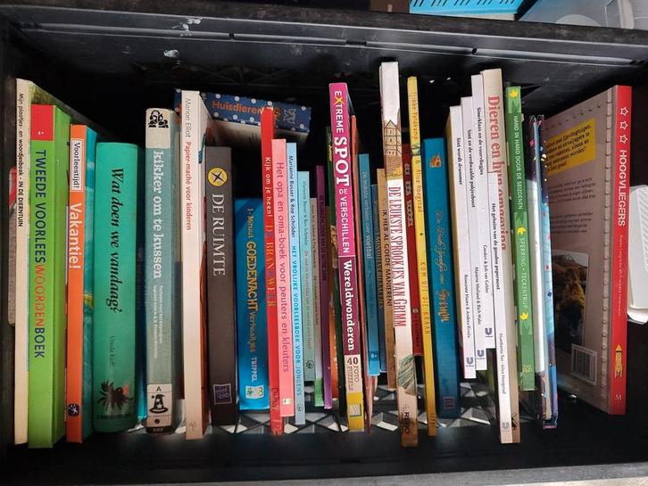 Diverse boeken 40+ stuks, Boeken, Partijen en Verzamelingen, Gelezen, Ophalen of Verzenden