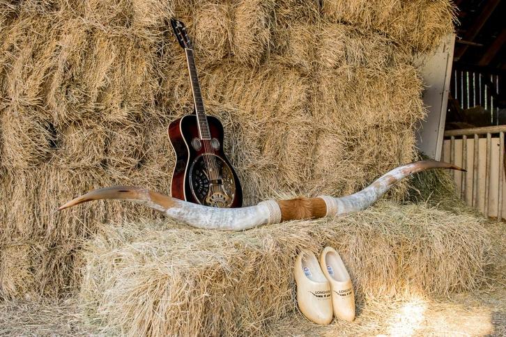Longhorn, Verzamelen, Dierenverzamelingen, Nieuw, Overige typen, Boerderijdier, Ophalen of Verzenden