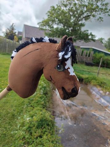 Hobbyhorse veulen LOTKER beschikbaar voor biedingen