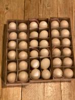 Uitgeblazen eend en kalkoen eieren, Ophalen of Verzenden, Overige typen