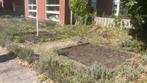 Schutting, Tuin en Terras, Ophalen, Gebruikt, 6 meter of meer, Minder dan 1 meter