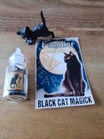 Lotje Halloween-Heksen-Tovenaar 1:12       🎃🐈‍⬛ 🕷🕸🐦‍⬛🦇, Ophalen, Poppenhuis