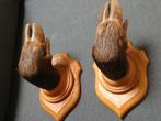 Geweersteunen, geweerhouder. Poten van wild zwijn, Verzamelen, Dierenverzamelingen, Ophalen of Verzenden