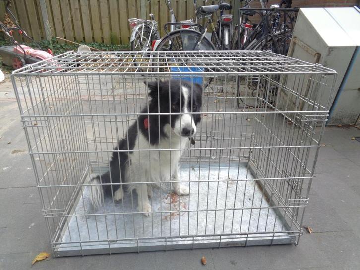 Stevige verzinkte hondenbench 90 x 60 x 60 cm, Dieren en Toebehoren, Hondenbenches, Gebruikt, Ophalen