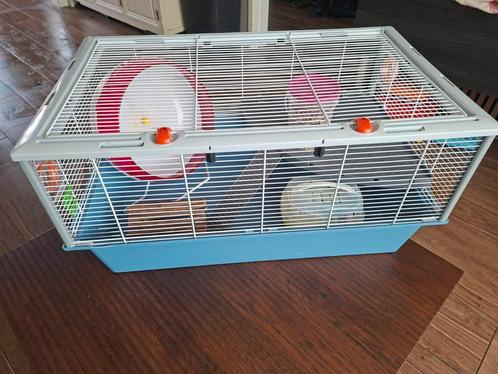Groot hamster hok, Dieren en Toebehoren, Knaagdieren en Konijnen | Hokken en Kooien, Gebruikt, Hok, Minder dan 60 cm, 75 tot 110 cm