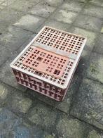 Vervoers kist, Ophalen of Verzenden, Zo goed als nieuw, Drinken en Voederen