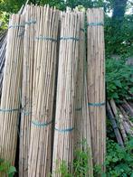 Bamboo stokken 2,10m 100 stokken, Ophalen, Nieuw, 180 tot 250 cm, Overige typen