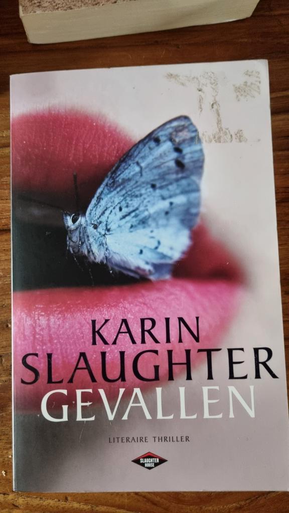 Karin Slaughter - Gevallen, Boeken, Thrillers, Zo goed als nieuw, Ophalen of Verzenden