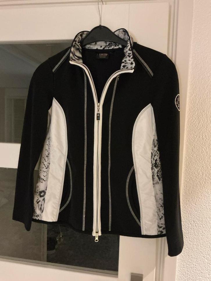 Skivest dames Canyon maat 38 ,passend voor maat 40, Kleding | Dames, Wintersportkleding, Zo goed als nieuw, Overige typen, Maat 38/40 (M)