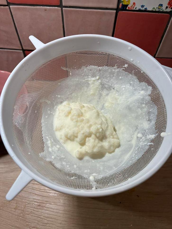 Verse Melkkefir korrels- Probiotische Kracht!, Diversen, Levensmiddelen, Ophalen