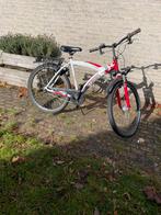 Betavus snake 24inch, Fietsen en Brommers, Ophalen, Staal, Heren, Overige typen
