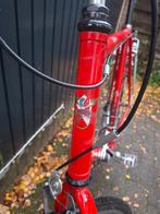 Snel safari randoneur- 2001 opknapper, Gebruikt, Meer dan 20 versnellingen, 65 cm of meer, Ophalen