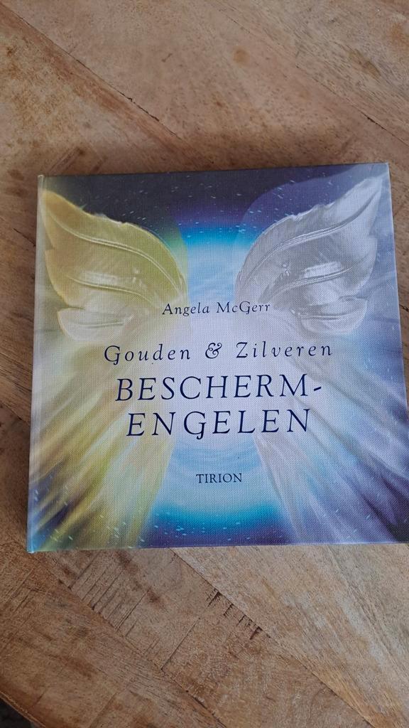 Gouden en zilveren bescherm engelen. Angela McGerr, Boeken, Esoterie en Spiritualiteit, Zo goed als nieuw, Overige typen, Tarot of Kaarten leggen