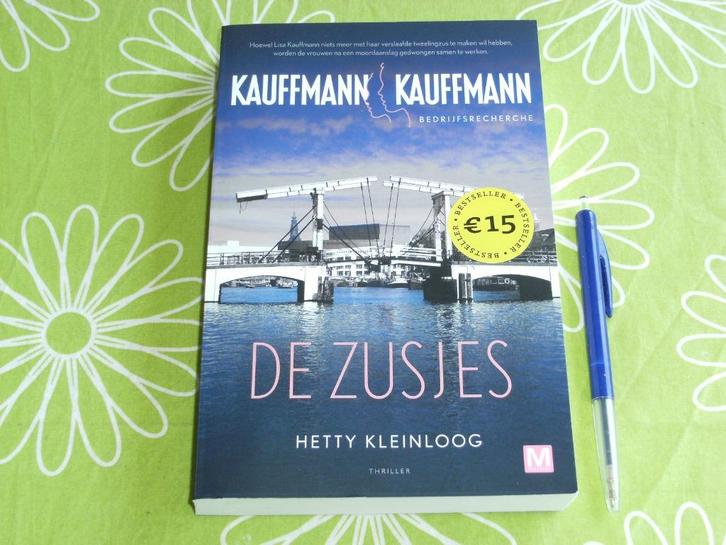 De Zusjes - Hetty Kleinloog, Boeken, Romans, Zo goed als nieuw, Nederland, Ophalen of Verzenden
