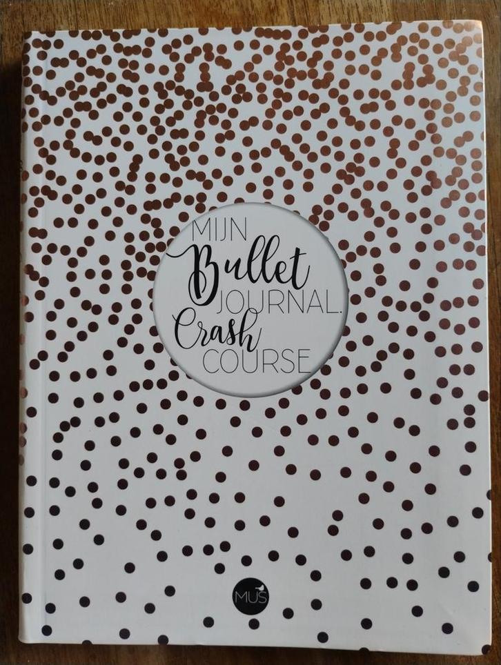 Mijn Bullet Journal Crash Course - Nieuw!, Boeken, Hobby en Vrije tijd, Nieuw, Scrapbooking en Knutselen, Ophalen of Verzenden