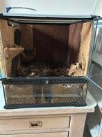 Exo terra terarium, Dieren en Toebehoren, Ophalen, Zo goed als nieuw, Terrarium of Paludarium