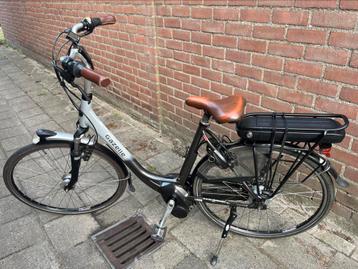 Gazelle orange comfort beschikbaar voor biedingen