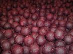 Squid & Liver boilie freezer & ready boilies Riverlandbaits, Ophalen of Verzenden, Nieuw, Overige typen