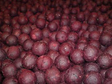 Squid & Liver boilie freezer & ready boilies Riverlandbaits beschikbaar voor biedingen