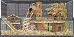 Mooie hamsterkooien, zeer geschikt voor hamsterscaping., Kooi, Nieuw, Hamster, 75 tot 110 cm