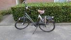 Gazelle Eclipse limited edition framemaat 61cm, Ophalen, Versnellingen, 56 cm of meer, Zo goed als nieuw