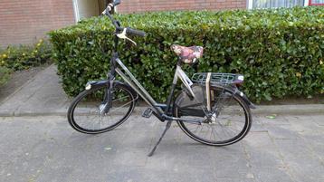 Gazelle Eclipse limited edition framemaat 61cm beschikbaar voor biedingen