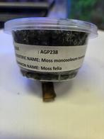 mos, Overige typen, Zoetwatervis