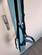 Halster + hengstenketting, Dieren en Toebehoren, Paarden en Pony's | Hoofdstellen en Tuigage, Ophalen of Verzenden, Zo goed als nieuw