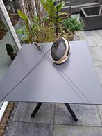 Twee antieke degens/ schermen en een schermmasker, Ophalen of Verzenden