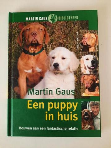 Een puppy in huis . Martin Gaus beschikbaar voor biedingen