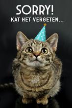 Kittens 12weken,, Europese kort haar, Dieren en Toebehoren, Katten en Kittens | Overige Katten, Kortharig