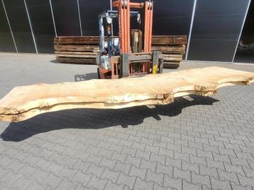 Boomstam bladen in diverse houtsoorten beschikbaar voor biedingen