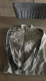 Paardrijvest QHP maat 140, Dieren en Toebehoren, Paardrijkleding, Ophalen of Verzenden, Zo goed als nieuw, Onderkleding