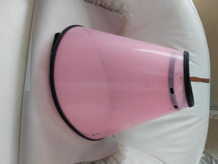 Beschermkraag nekkraag hond XL hals 52-69, zgan, Dieren en Toebehoren, Honden-accessoires, Zo goed als nieuw, Ophalen of Verzenden