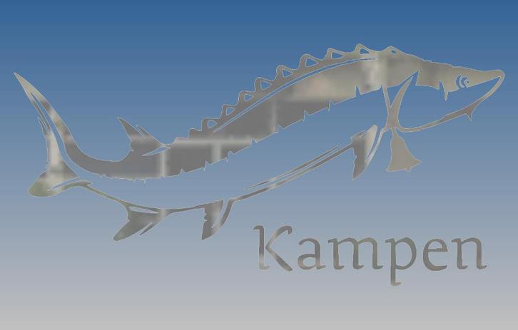 Kampersteur Sticker recht met tekst Zilver, Auto diversen, Autostickers, Ophalen of Verzenden