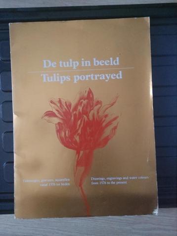 De tulp in beeld / Tulips portrayed Tekeningen 1576- heden beschikbaar voor biedingen