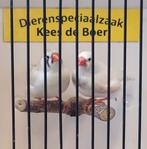 Koppel zebravinken, Dieren en Toebehoren, Meerdere dieren