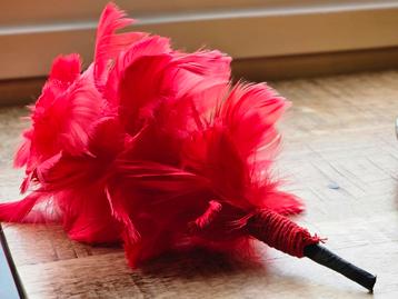 Pluim voor Franse brandweerhelm brandweer pompiers  beschikbaar voor biedingen