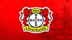 Bayer Leverkusen - Borussia Mönchengladbach tickets, Twee personen, April
