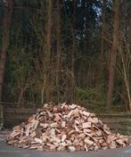 Gekloofd Hout Gemengd - Vers!, Tuin en Terras, Haardhout, 3 tot 6 m³, Ophalen, Overige houtsoorten, Blokken
