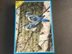 James Hamilton Puzzel American Blue Jays Blauwe Gaai - 1 st, Ophalen of Verzenden, 500 t/m 1500 stukjes, Legpuzzel